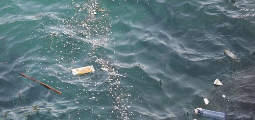 Photo du plastic dans la mer