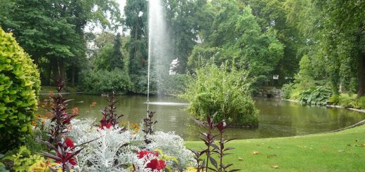 photo du jardin des plantes